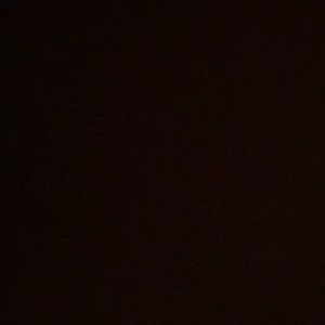 Meet your Posher, Alannah